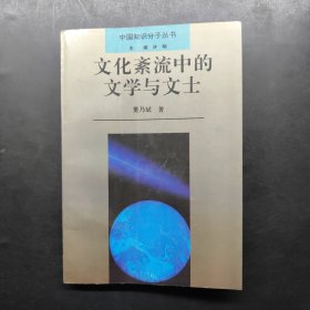 中国知识分子丛书 文化紊流中的文学与文士