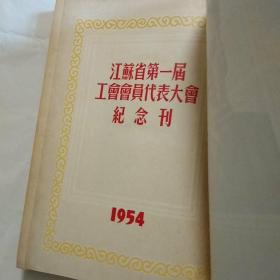 1954年文献图片册【江苏省第一届工会会员代表大会纪念刊】主席像，超长合影照片