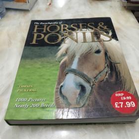 horses & ponies 马