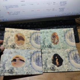 40分邮资明信片 南京雨花石1套----花卉篇.动物篇.景物篇 人物篇 各10张全