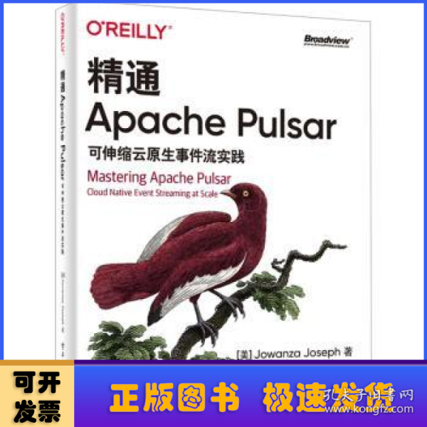 精通Apache Pulsar：可伸缩云原生事件流实践