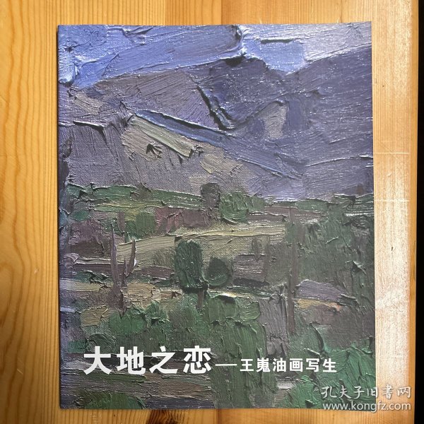 画册·《大地之恋——王嵬油画写生》·32开