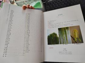 植物诗歌图鉴图集花香四野，诗竞芳华：诗歌植物图鉴陈明林