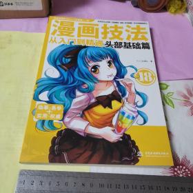 漫画技法从入门到精通：头部基础篇