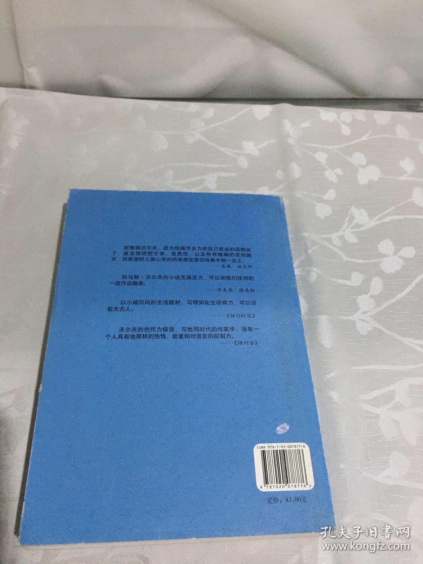 蛛网与磬石：托马斯·沃尔夫小说全系列