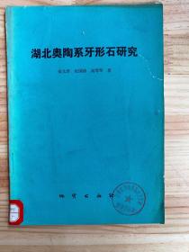 湖北奥陶系牙形石研究