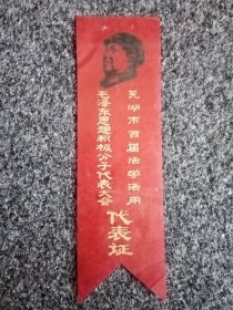 芜湖市老代表证。