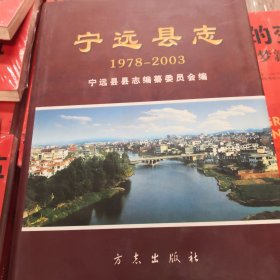 宁远县志. 1978～2003