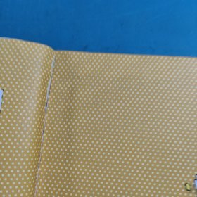 史高治的光辉岁月