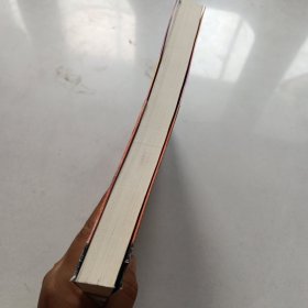 追风筝的人