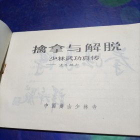 擒拿与解脱——少林拳法真传