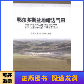 鄂尔多斯盆地靖边气田开发技术与实践