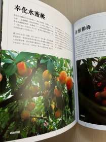 宁波味道的饮食和文化(精装近全新)