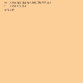 厚煤层开采理论与技术