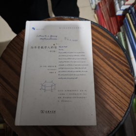 给年青数学人的信（修订版）(新科学人文库)