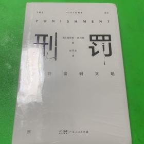 刑罚：从野蛮到文明（凌迟、火刑、电击、精神折磨、限制自由…通过美索不达米亚文明至今的刑罚演变，看清人类社会发展）