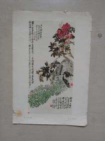八开美术作品，文革前印刷吴昌硕绘画的国画作品《天竹水仙》，实物图