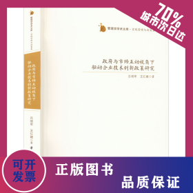 政府與市場(chǎng)互動(dòng)視角下驅(qū)動(dòng)企業(yè)技術(shù)創(chuàng)新政策研究 9787568086301