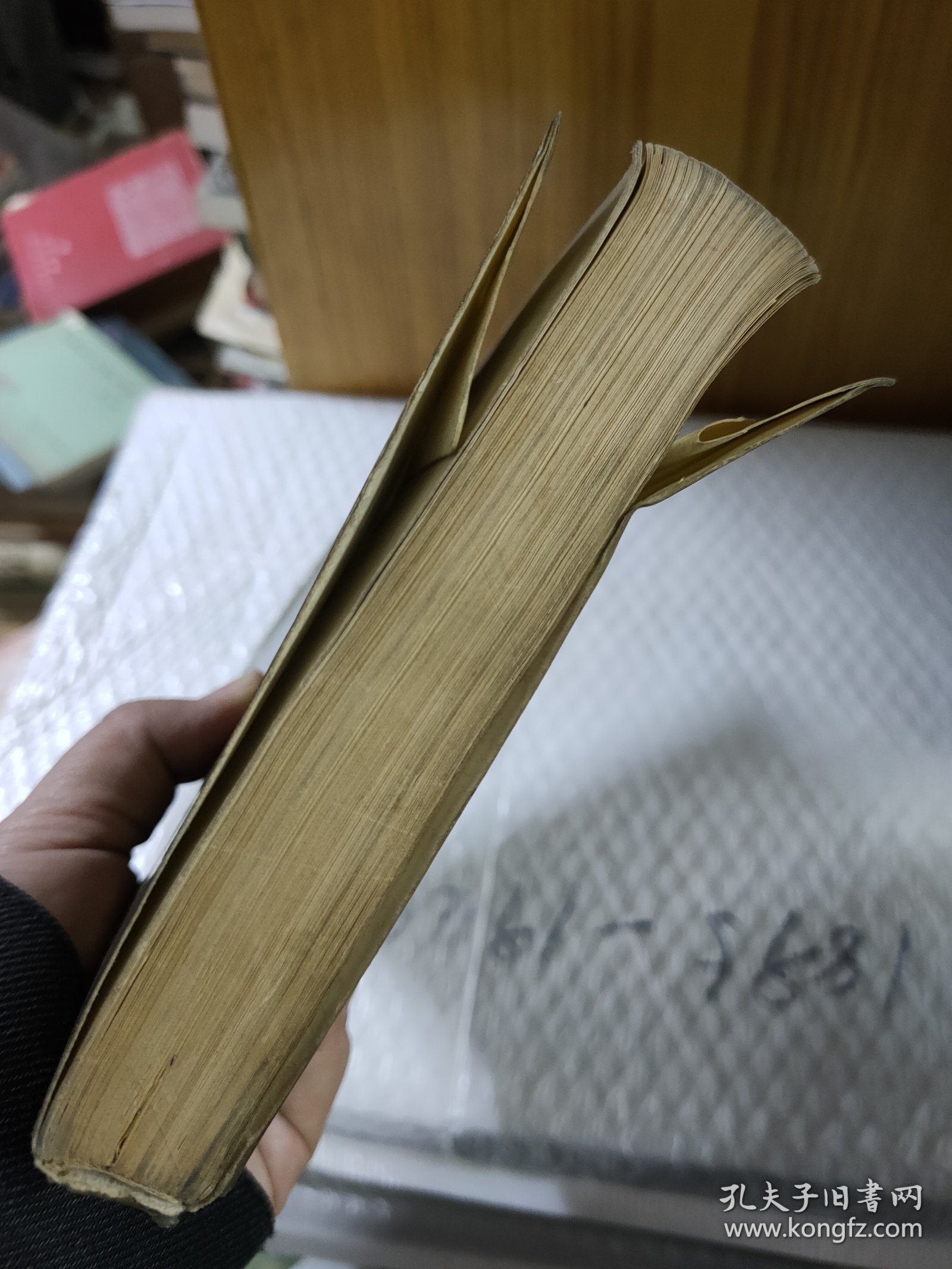 皇父摄政王多尔衮全传