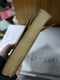 皇父摄政王多尔衮全传