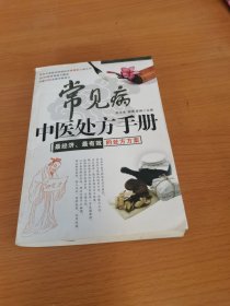 常见病中医处方手册