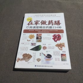 图解在家做药膳：疗病调理精品药膳234种