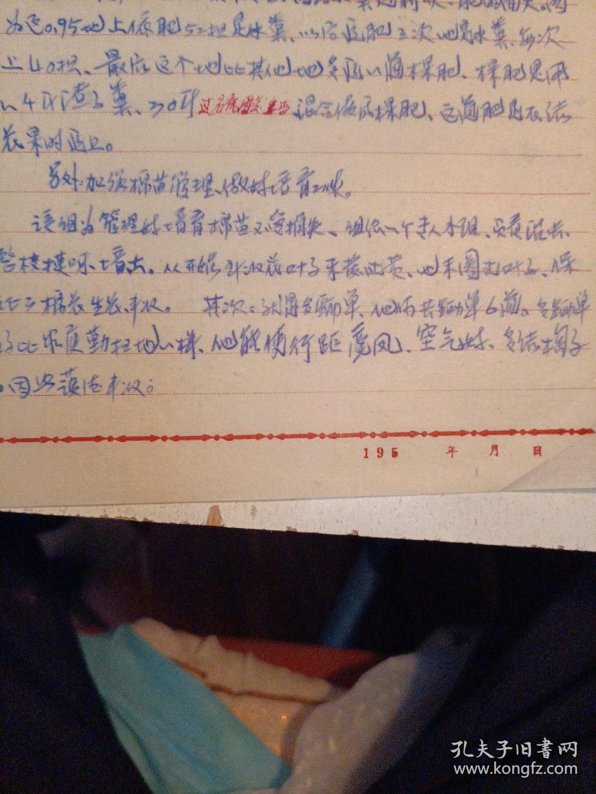 50年代档案资料:胡岗乡八一社青年生产小组试验高产棉花事迹（不知是否缺页）