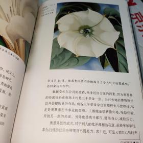 沙漠中的花朵：奥基弗