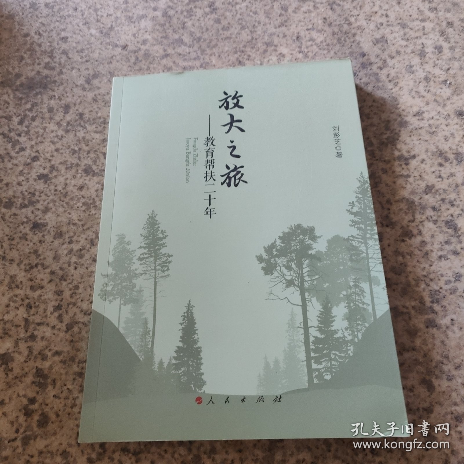 放大之旅——教育帮扶二十年