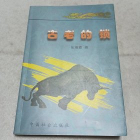 古老的锁
