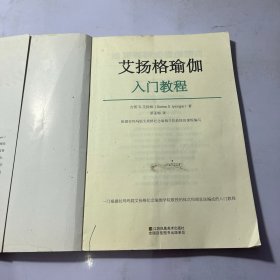 艾扬格瑜伽入门教程 有污渍