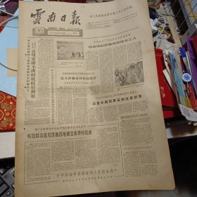 原版老报纸1期：《云南日报》1962年10月17日【有装订孔，品相如图】
宜良县蓬莱公社永新大队第四生产队合理组织劳动力担收黄谷。[吕华昌摄〕 晋宁县上蒜公社上蒜大队湾村生产队社员把好菸交售耠国家。〔慧芬摄〕 宾|川|坝|子|喜|摘|新|棉 中共陆艮县委书 王兰亭 营业具曹以中 柴廷华玉溪杯湖供鲔社主任蔡学礼 陆艮县先锋公社菜园生产大队党支部书记孙小祥