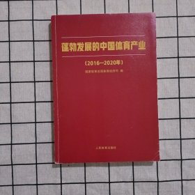 蓬勃发展的中国体育产业：2016-2020年