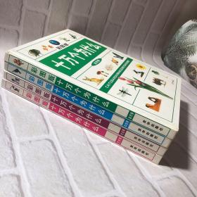 彩图版：十万个为什么（自然卷、科技卷、社会卷、艺术卷）【全四卷豪华本】
