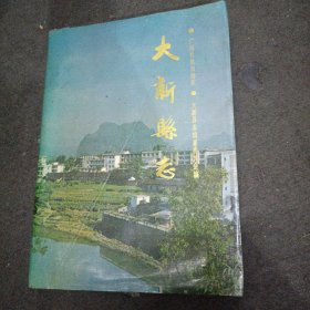 大新县志（精装本）