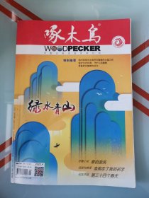 啄木鸟2022年第4期