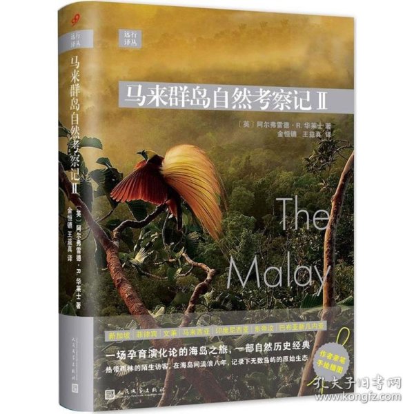 远行译丛：马来群岛自然考察记II（精装）