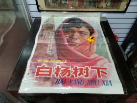 八十年代电影海报《白杨树下》 （1开。中国电影发行放映公司）