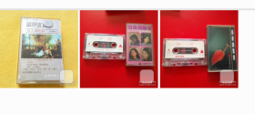 磁带3盘《 蒲公英的梦朱明君女声独唱》。《 磁带，青春的赞美 》《磁带 世界名曲-春天奏鸣曲 》