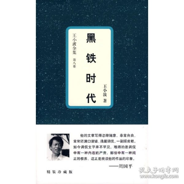 黑铁时代：王小波全集：8