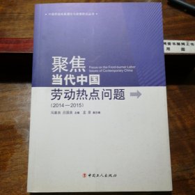 中国劳动关系理论与政策研究丛书：聚焦当代中国劳动热点问题（2014—2015）