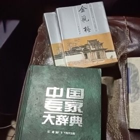 中国专家大辞典