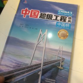 中国桥 中国超级工程丛书系列青少年建筑科普百科知识