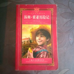 汤姆·索亚历险记