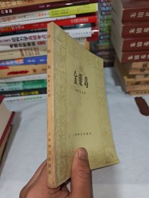 金银岛