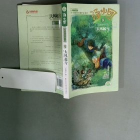 汤小团-大风起兮