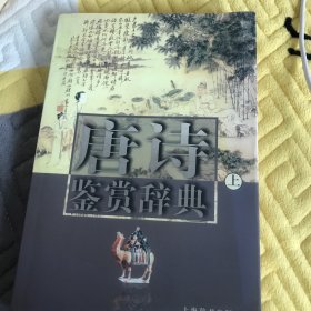 唐诗鉴赏辞典上