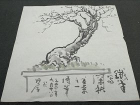 王传莘 （著名工笔画家、宋庆龄故居副主任）旧藏‖ 王传莘盆景画作铁笔写深秋（34*33cm） 5341