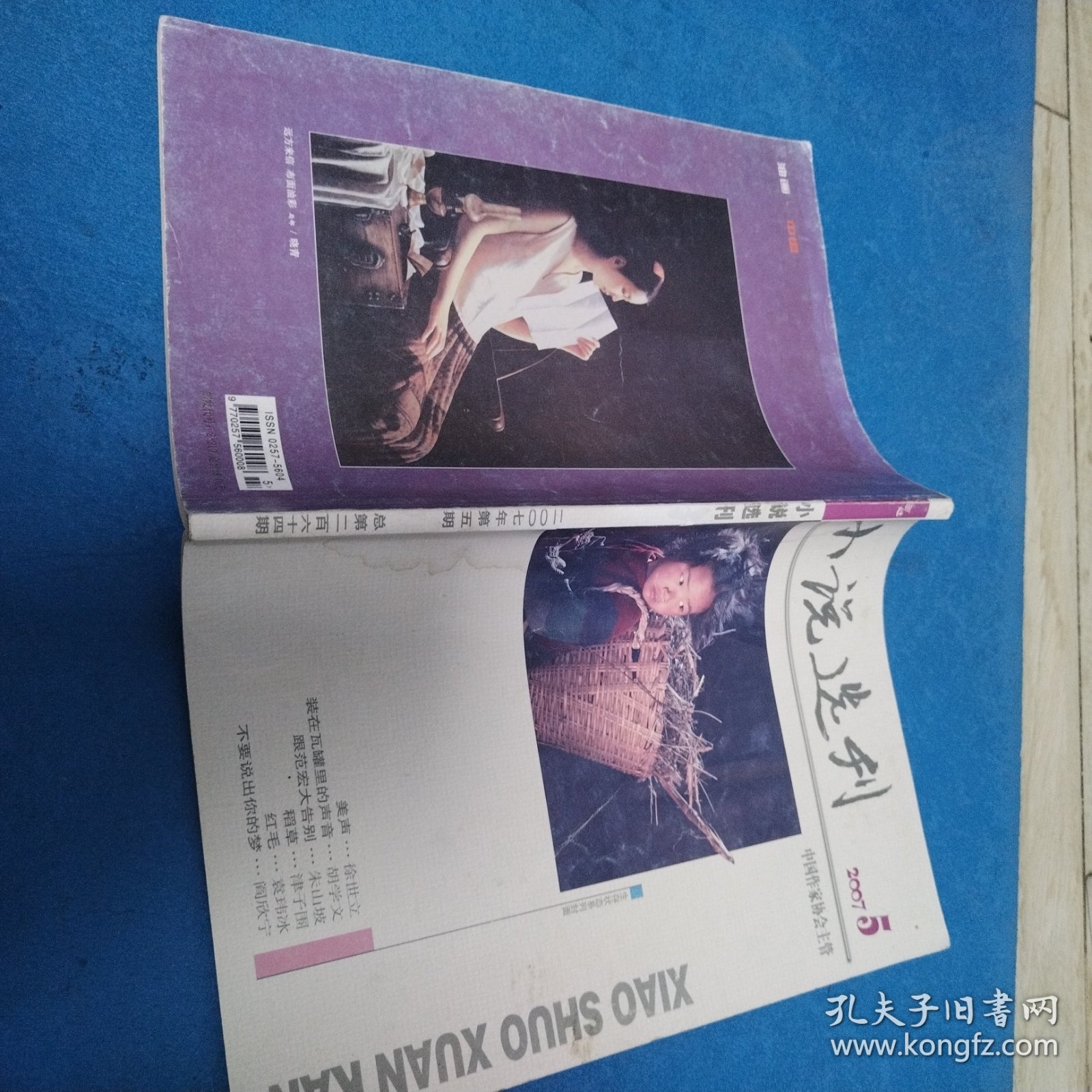 小说选刊2007，5