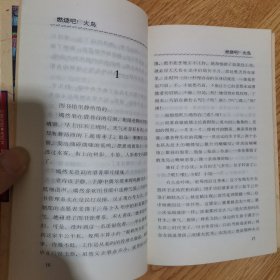 琼瑶全集：20，一帘幽梦，32，金盏花，37，燃烧吧！火鸟，40，失去的天堂，49，新月格格，五册